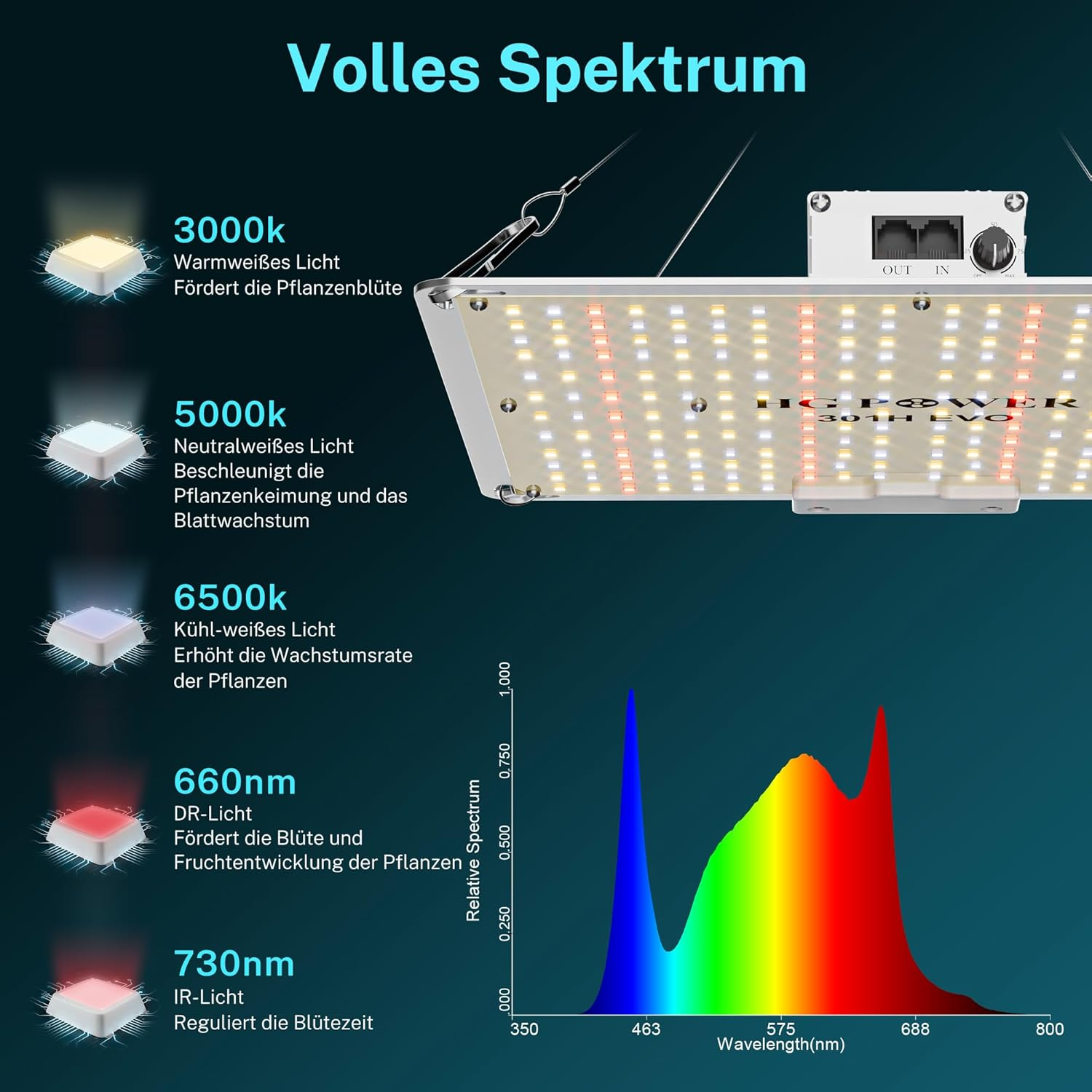 pasted-image-20250804090233